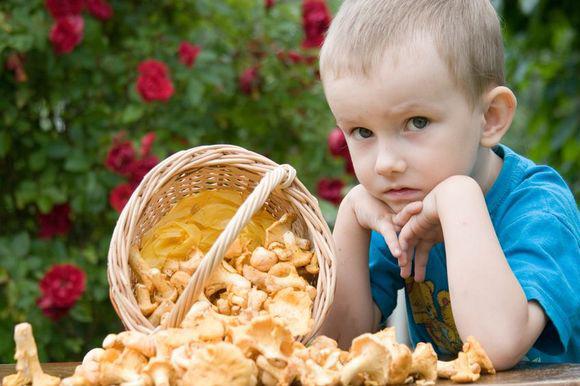 Можно ли давать детям грибы 