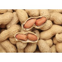 Аллергия на арахис: симптомы и лечение