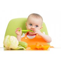 Полезные овощи для детей до года
