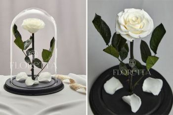 Стабилизированная роза в колбе от Floretta