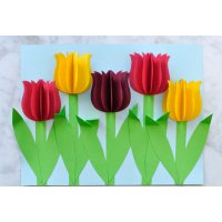 Тюльпаны из цветной бумаги: поделка для детей