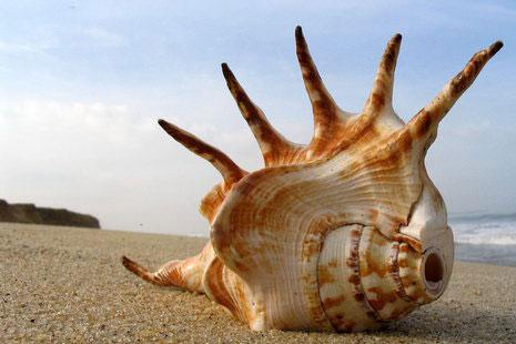 Статусы про море Море