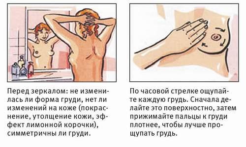Как обследовать грудь