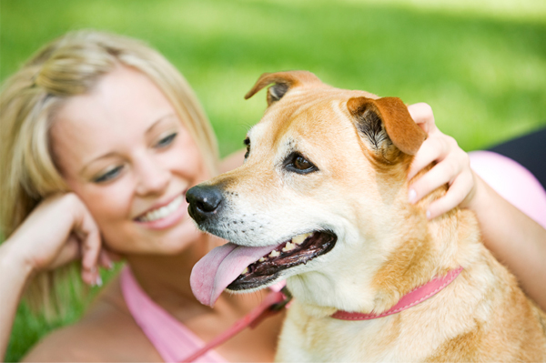 Особенности сухих кормов Pronature Holistic