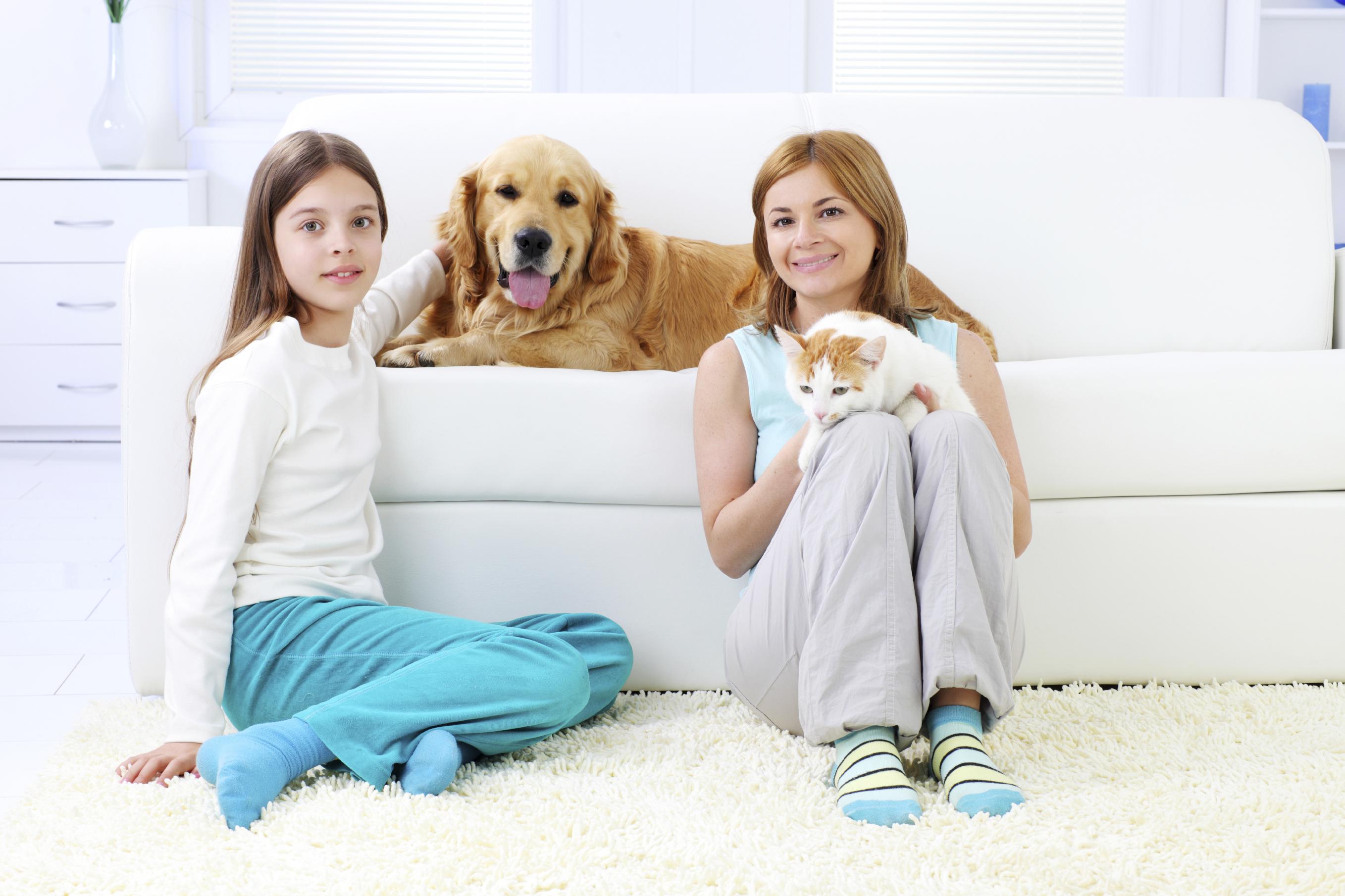 Особенности сухих кормов Pronature Holistic