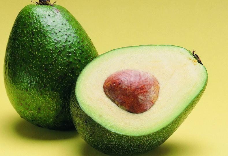 Какие продукты нельзя давать домашним животным Какие продукты нельзя давать домашним животным