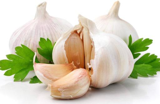 Какие продукты нельзя давать домашним животным Какие продукты нельзя давать домашним животным
