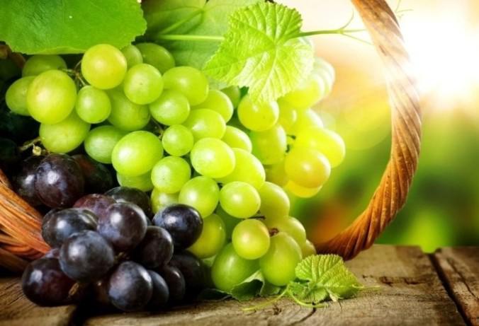 Какие продукты нельзя давать домашним животным Какие продукты нельзя давать домашним животным