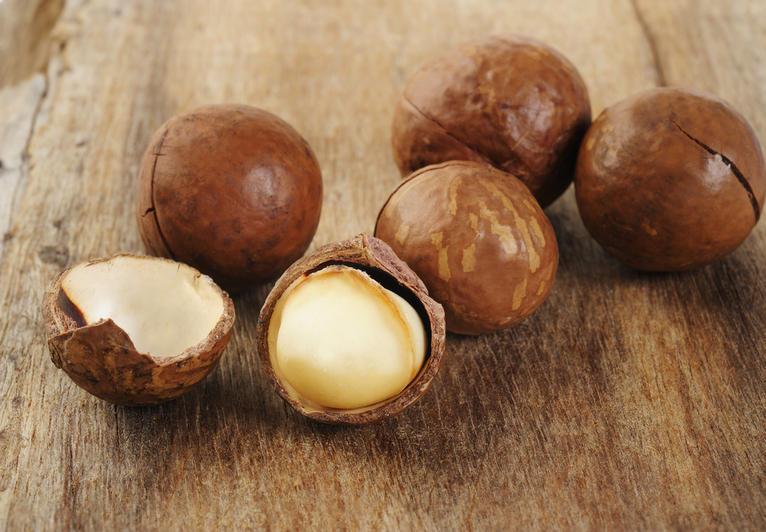 Какие продукты нельзя давать домашним животным Какие продукты нельзя давать домашним животным