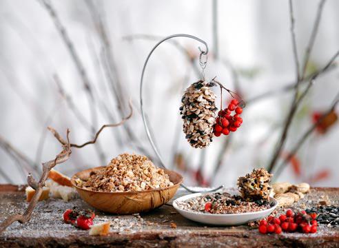 Кормушки для птиц своими руками из шишек Кормушки для птиц из шишек
