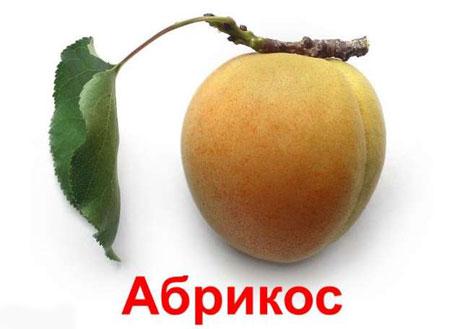 Энциклопедические знания по методике Глена Домана Карточки Глена Домана