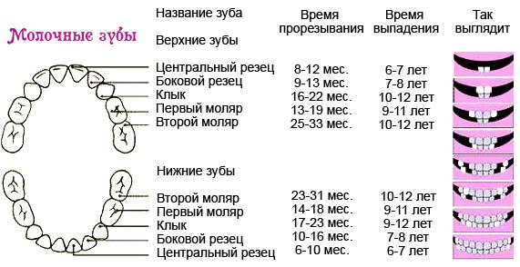 Режутся зубки? Как помочь малышу Когда режутся первые зубы
