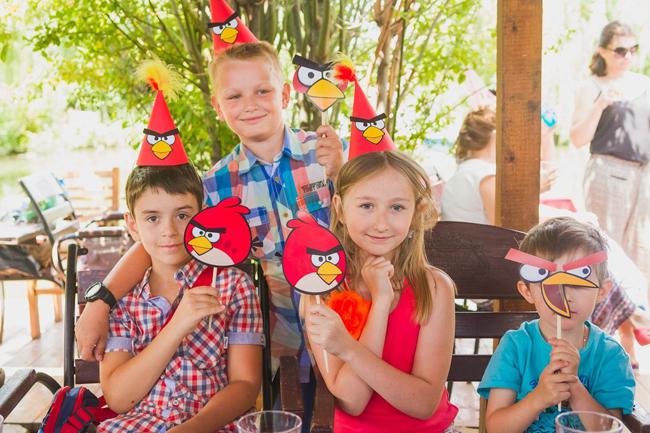 День рождения в стиле Angry birds День рождения в стиле Angry birds