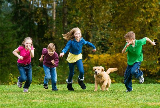 Квест на день рождения для детей 6-7 лет Квест на день рождения для детей 6-7 лет