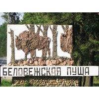 8 причин посетить Беловежскую пущу