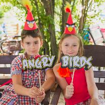 День рождения в стиле Angry birds