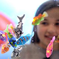 Характеристики роборыбок Robofish