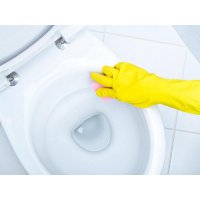 Как почистить унитаз от известкового налета