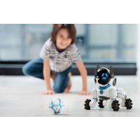 Роботы Wowwee: особенности и преимущества
